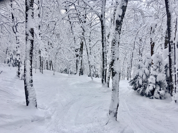 The glades at Smuggs are just magical