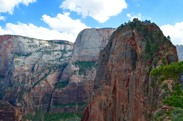The hike to the top of Angels Landing in Zion Canyon Utah 