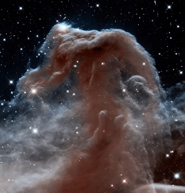 The Horsehead Nebula Barnard 