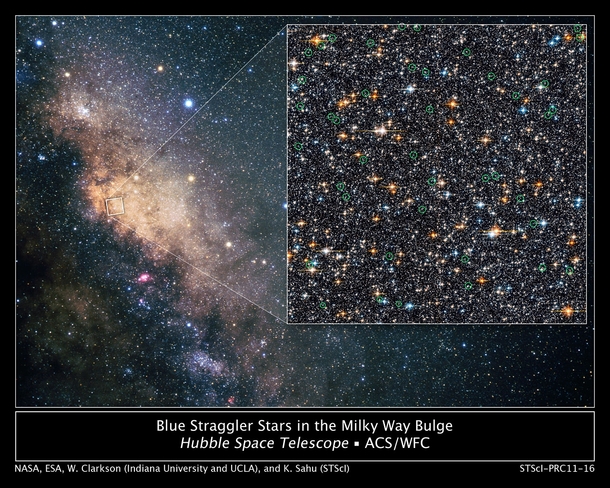 The Hubble Space Telescope has found a rare class of oddball stars called blue stragglers within our galaxys bulge Blue stragglers are so named because they seem to be lagging behind in their rate of aging compared with the population from which they form