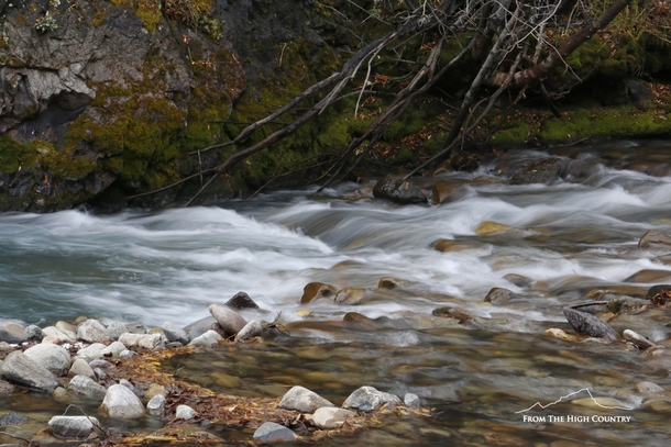 The last day of fall in a Colorado mountain stream 