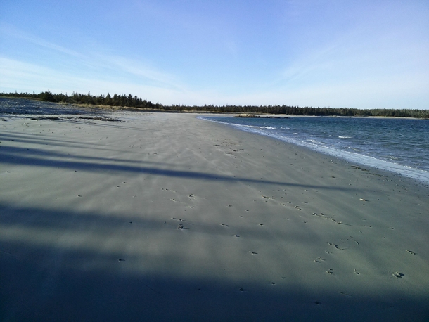 The long shadows of winter creep their way across a deserted Taylor Head Beach Nova Scotia 