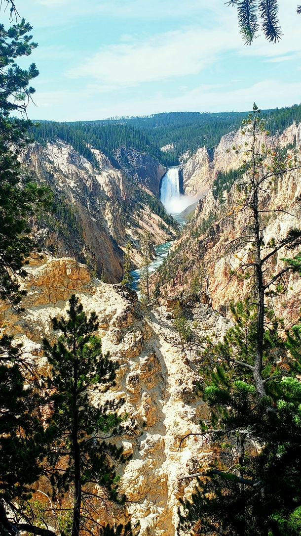 The Lower Falls of the Yellowstone River from Artists Point 