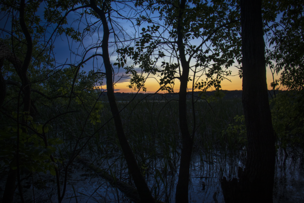 The marsh at dusk - a peaceful place - Lake Mendota WI x