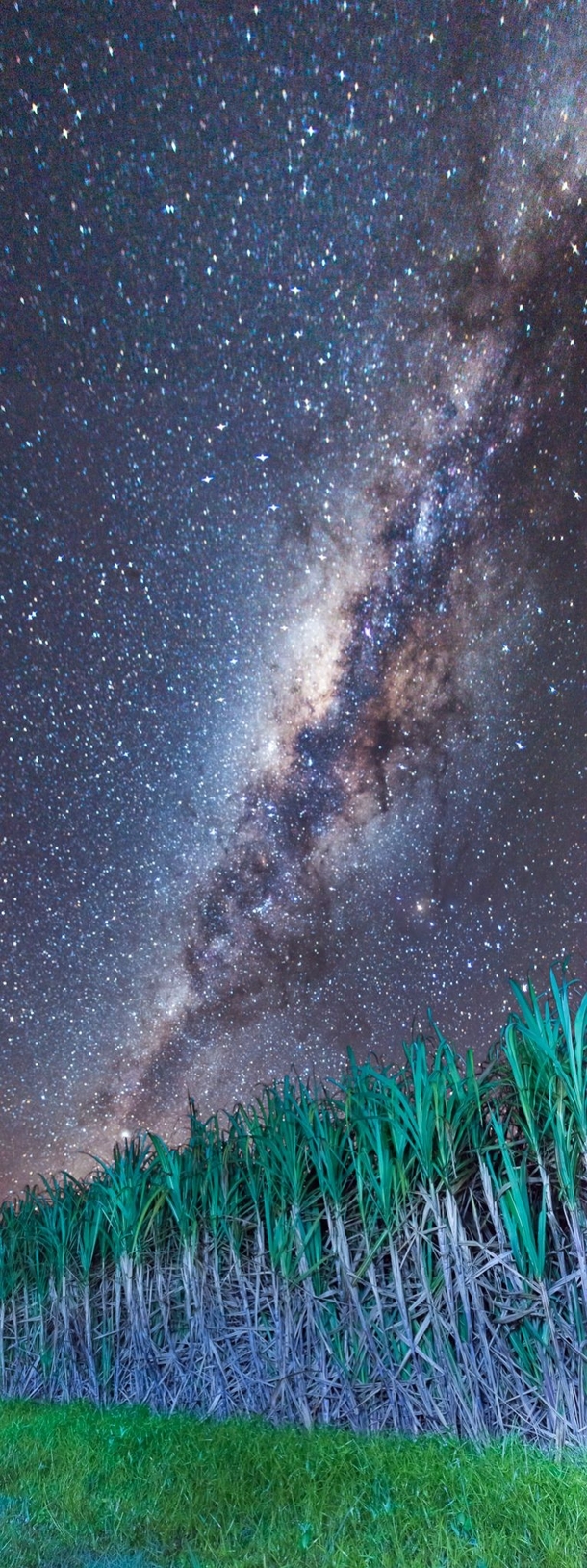 The milky way over the sugar cane fields of Far North Queensland 