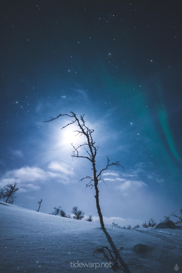 The moon stars and northern lights in the snow Finnish Lapland  IG Tidewarp