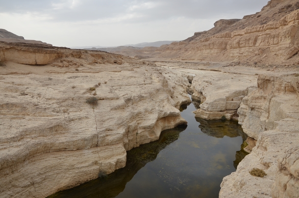 The Negev Desert Israel Stumbling upon this little creek in the desert wilderness was a refreshing surprise 