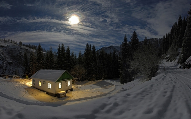 The Night Cabin 