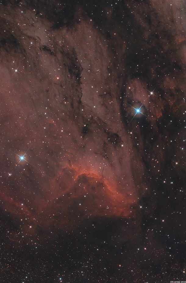 The Pelican Nebula IC  in Cygnus 