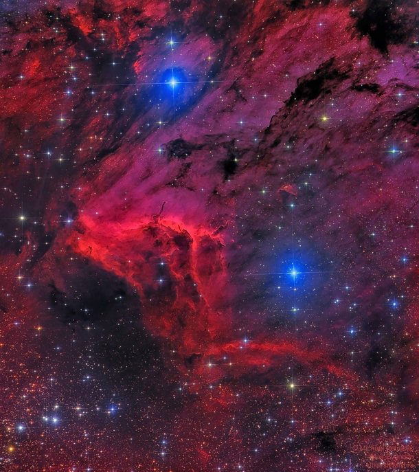 The Pelican Nebula in Red and Blue by M Petrasko M Evenden U Mishra Insight Obs
