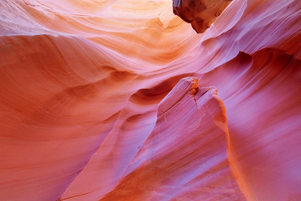 The Pink Wall Rattlesnake Canyon Utah  by Dustin Wong