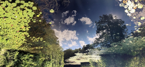The reflection in this pond looks like a dreamscape Audubon Center Greenwich CT 