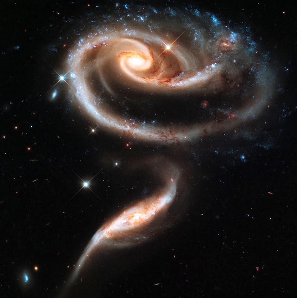The Rose Galaxies 