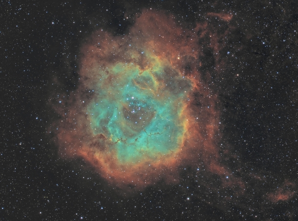 The Rosette Nebula in SHO