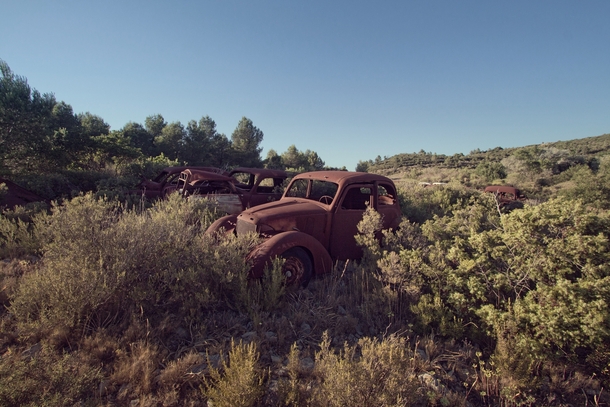 The sanctuary for abandoned cars Photo by Alexandre Katuszynski 