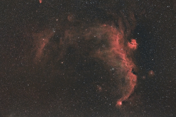 The Seagull Nebula in MonocerosCanis Major