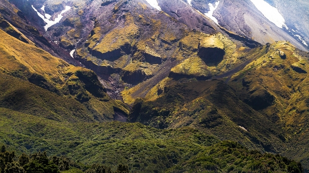 The slopes of Mount Taranaki one of New Zealands large volcanoes 