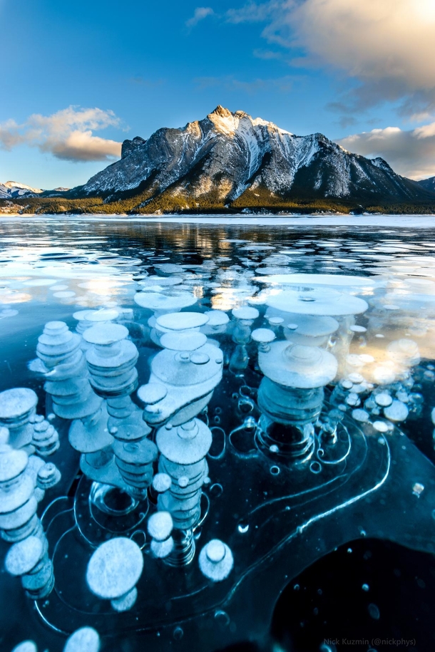 The spectacle of frozen methane bubbles at Abraham Lake Alberta Canada 