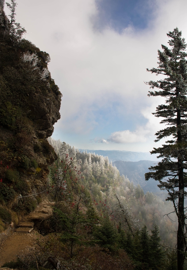 The stunning views in Great Smoky Mountain National Park are breath taking this time of year Taken on Alum cave trail descending Mt LeConte 