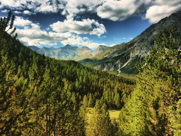 The Swiss National Park in Canton Grisons 