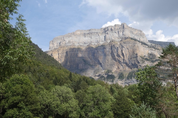 The trees and cliffs of the Ordesa Valley Spain 