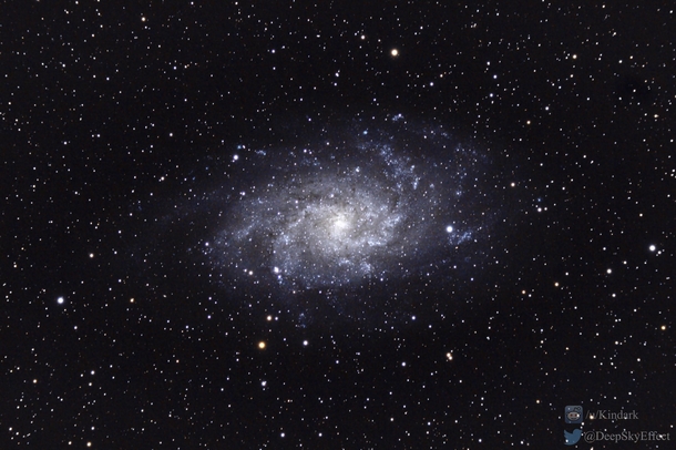 The Triangulum Galaxy shot with a Canon Ti 