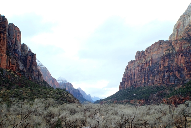 The Vastness of this canyon is almost surreal - Zion National Park Utah