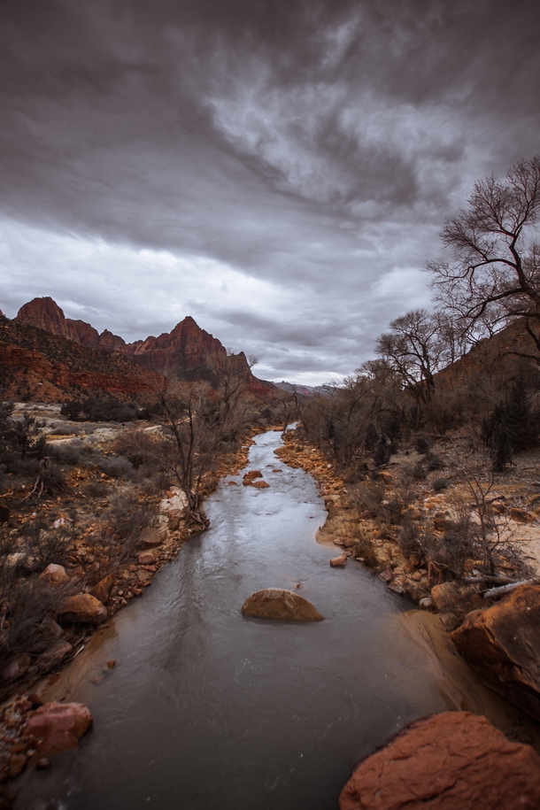 The Watchman and the Virgin River of Zion National Park 