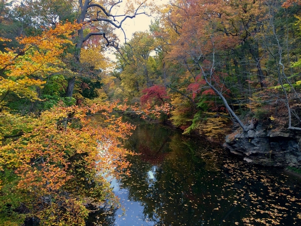 The Wissahickon Valley outside of Philadelphia during peak fall colors 