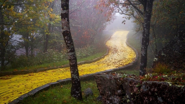 The Yellow Brick Road in North Carolinas abandoned Wizard of Oz theme park  by Johnny Joo