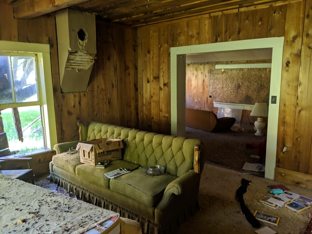 This abandoned house in Idaho was taken over by the mice and birds long ago 