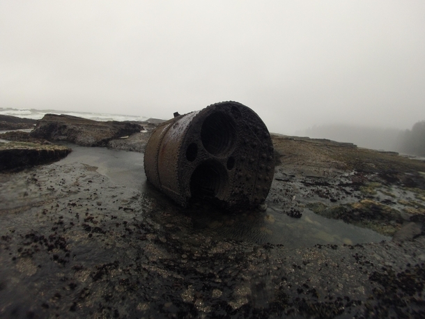 This boiler from a shipwreck I found at low tide on the west coast of Vancouver Island BC 
