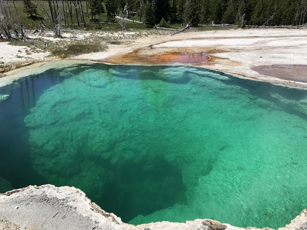 This brilliant turquoise geyser pool near West Thumb Geyser Basin Yellowstone National Park 