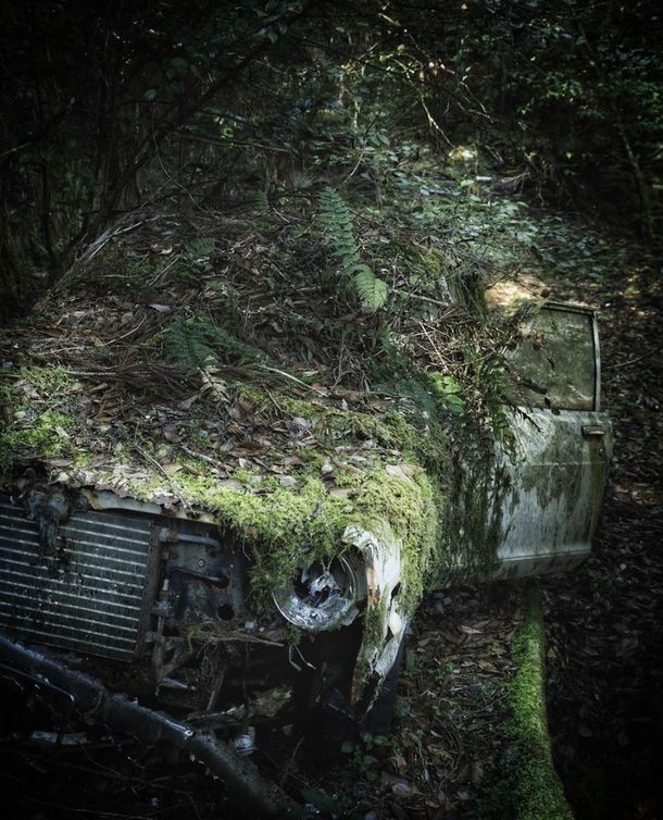 This car overtaken by the elements in rural area in Japan