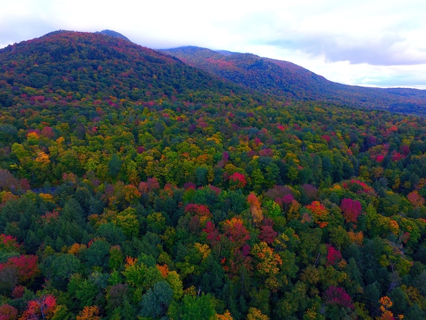 This is Vermont in the Fall - Buels Gore VT