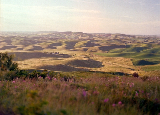 This is what summer in the Palouse is really supposed to look like From Steptoe Butte WA 