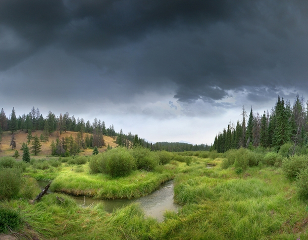 Thunderstorm bearing down on Wabasso Creek on the Valley of the Five Lakes Trail in Jasper National Park Alberta  by Ron Richey