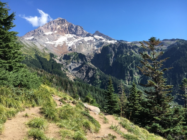 Timberline Trail - Oregon USA - x 