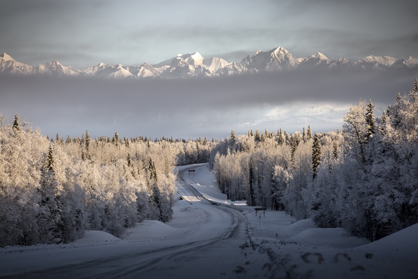 Times of Uncertainty Beautiful morning in Denali Park Alaska by Cheyzan Rivas 