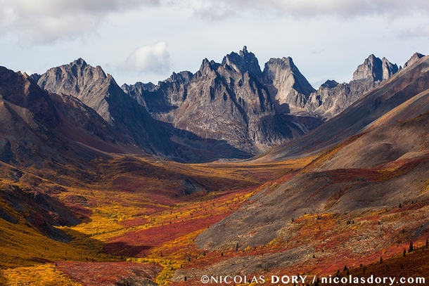 Tombstone Territorial Park in autumn Yukon  Photographer Nicolas Dory