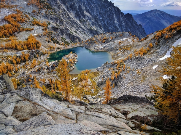 Took a mi hike to see these turning larches in the Enchantments WA Worth it 