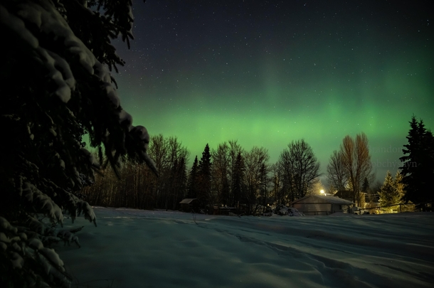 Took a picture of the Northern lights behind my house last night