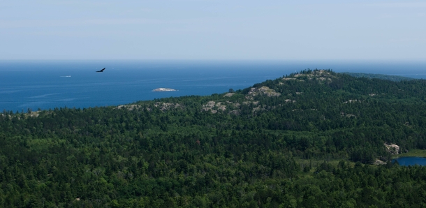 Took this picture at the top of Hogsback Mountain in Marquette MI located in the upper peninsula The hike was worth it 