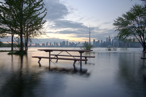 Toronto Island Flood  Strangely Beautiful