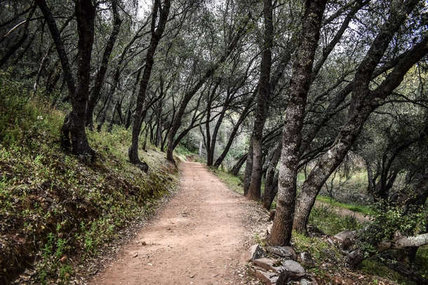 Trails in Sonora CA  x