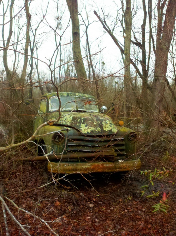 Truck in a forest Cambridge MD x 