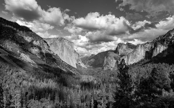 Trying my hand at a black and white Ansel Adams Yosemite Valley shot