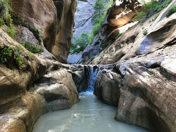 Tucked away water fall in The Narrows Zion National Park 