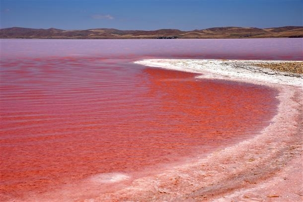 Turkeys second largest lake Tuz Gl Salt Lake turns crimson 