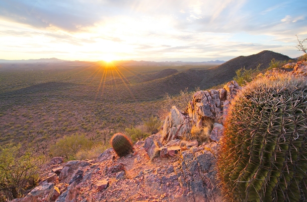 Twas a grueling early February hike through the frigid landscape of the Arizona Sonoran Desert for this shot 